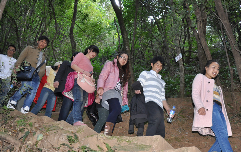 青龍峽位于昆明西郊安寧市青龍鎮(zhèn)滇中生態(tài)大峽谷中，景區(qū)有保存較為完好的植物群落，遮天蔽日的參天古木；有浪漫山花，野果飄香，還有清秀寧?kù)o的田園風(fēng)光。河谷沿岸古柳成蔭，幾十里的云南櫻花大道成為昆明郊游靚麗的風(fēng)景線。景區(qū)中溪水潺潺，千姿百態(tài)、千奇百怪的蔓藤風(fēng)光隨處可見(jiàn)，號(hào)稱“都市身旁的小九寨。